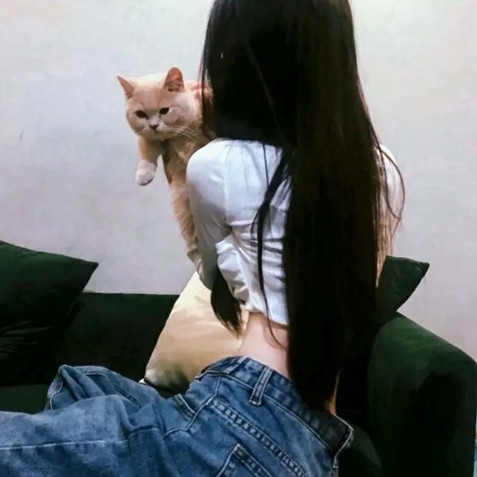 黎明前与妳相遇